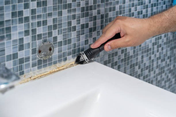 Best Post-Flood Mold Remediation in Bridgeville, PA